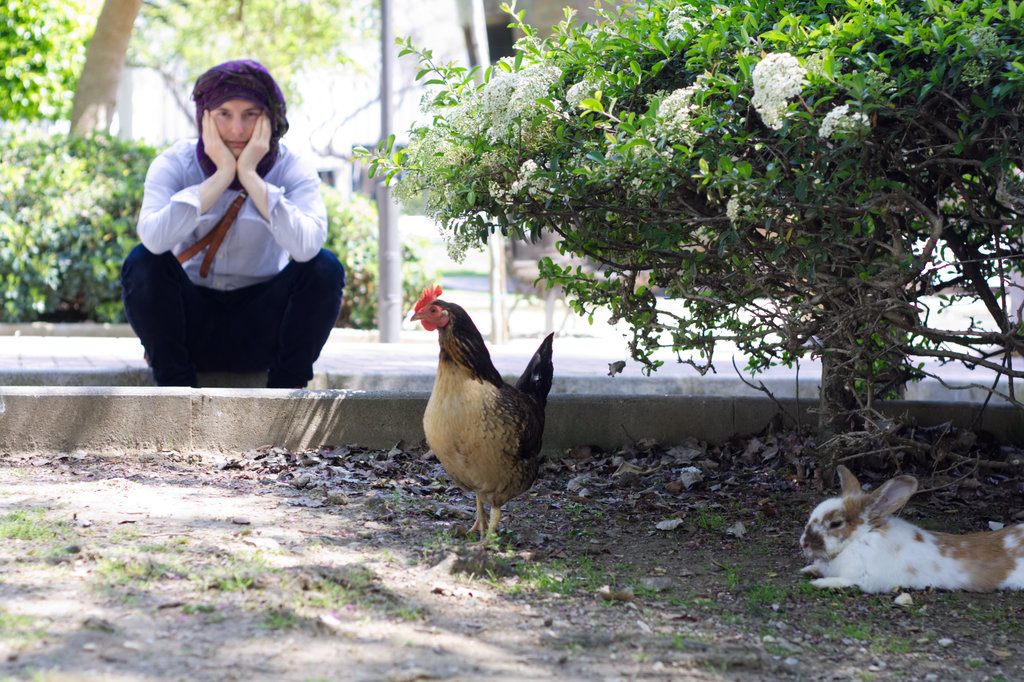 Sanjin, hen and rabbit. Photo: Lisa Sinclair.