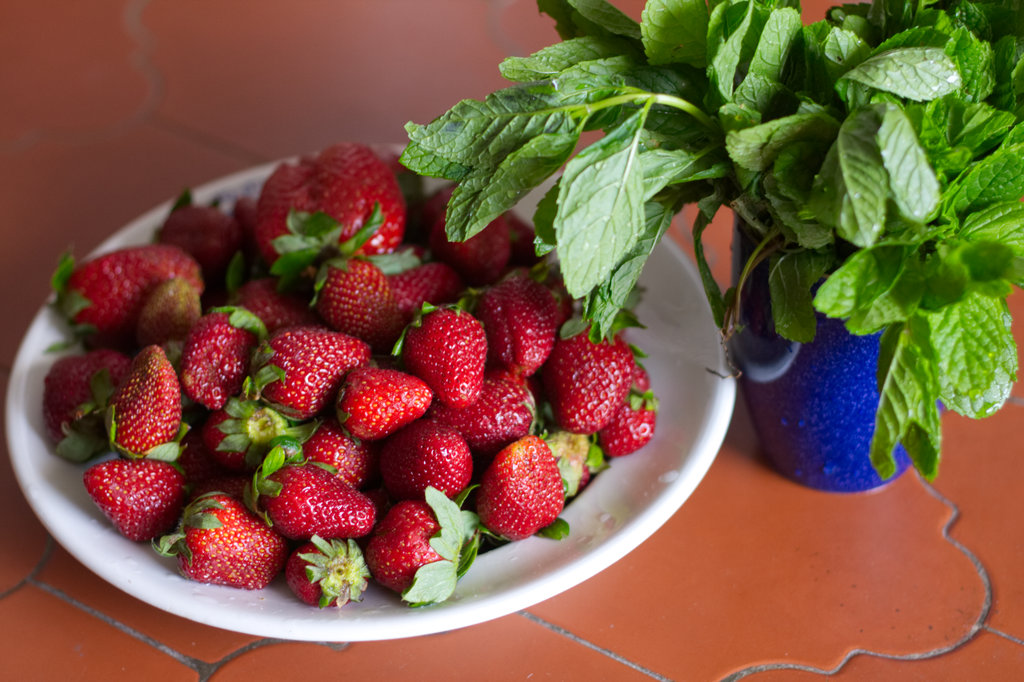 Strawberries and mint leaves in Nerja. Photo: Sanjin Đumišić.