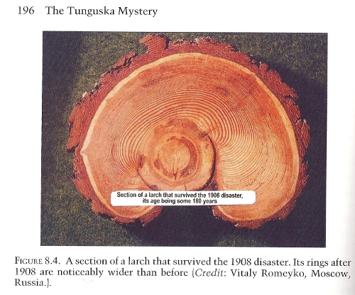 Odd biology in Tunguska. Image from Vladimir Rubtsov's book.