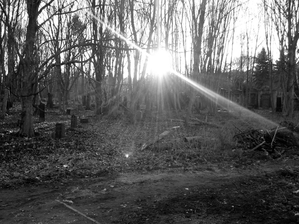 Even graveyards fall apart. Photo: Sanjin Đumišić.