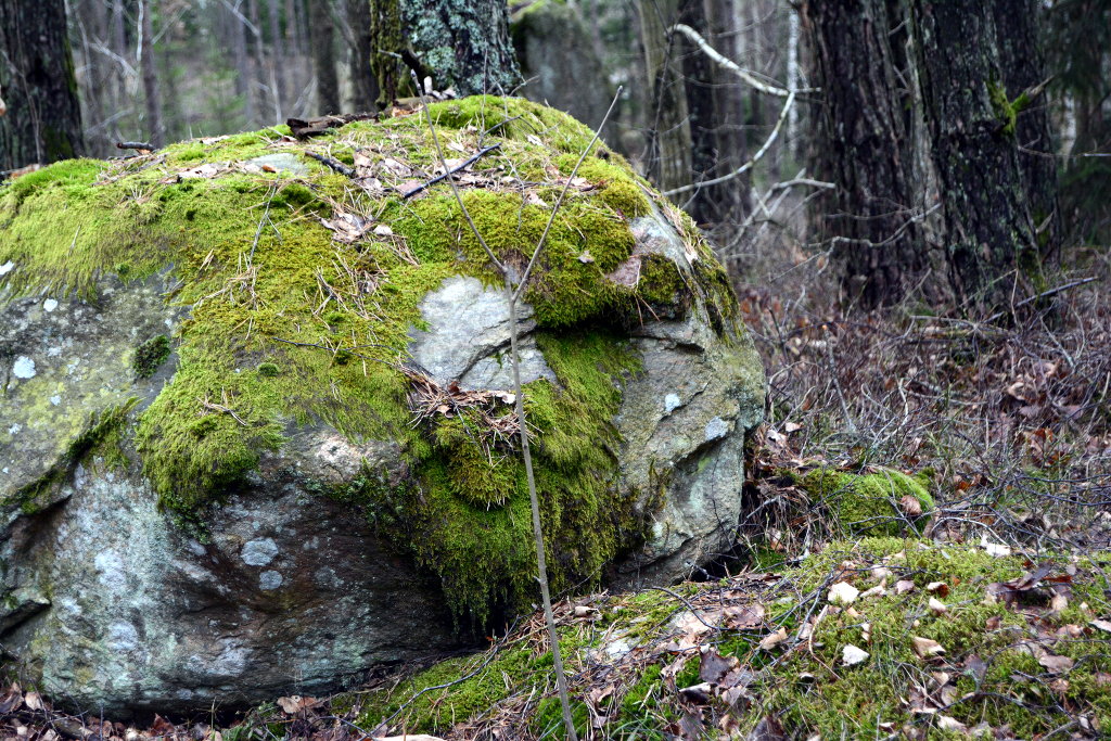 Stone face, or face in the stone? Don't ever forget that the dead stone our planet was, produced your consciousness. Respect nature and it too will see your face. Photo: Sanjin Đumišić.