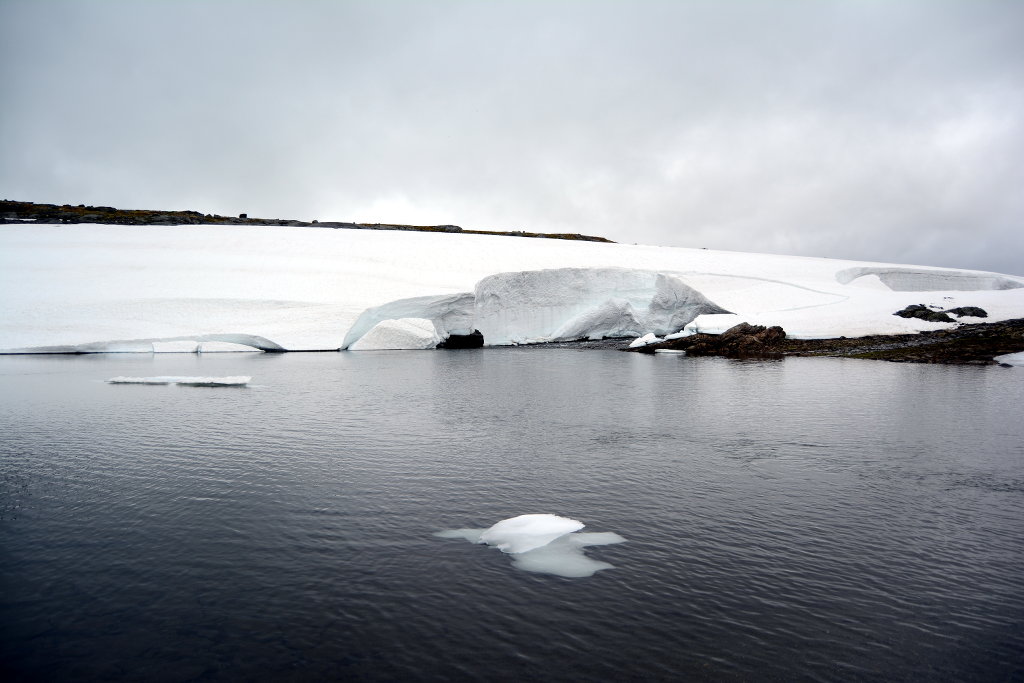 Water and smaller iceberg in Sognefjell. Photo: Sanjin Đumišić.