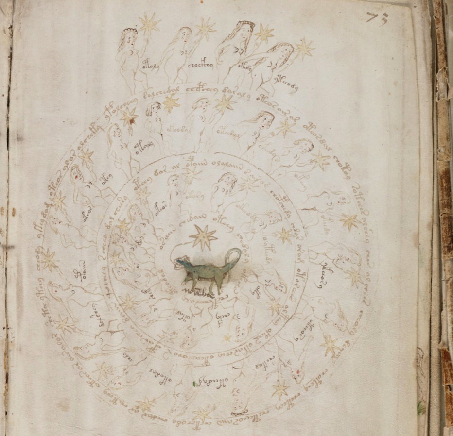 Voynich Manuscript.