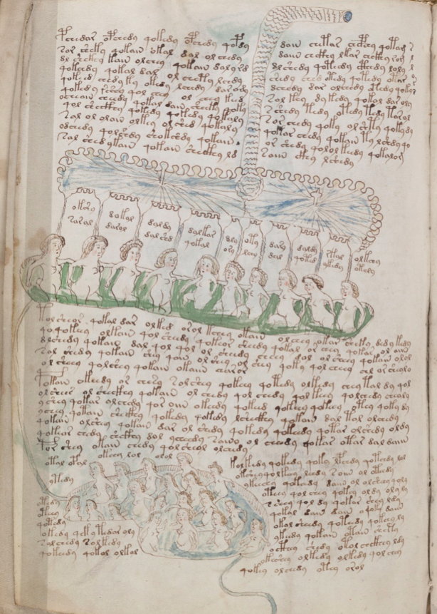 Voynich Manuscript.