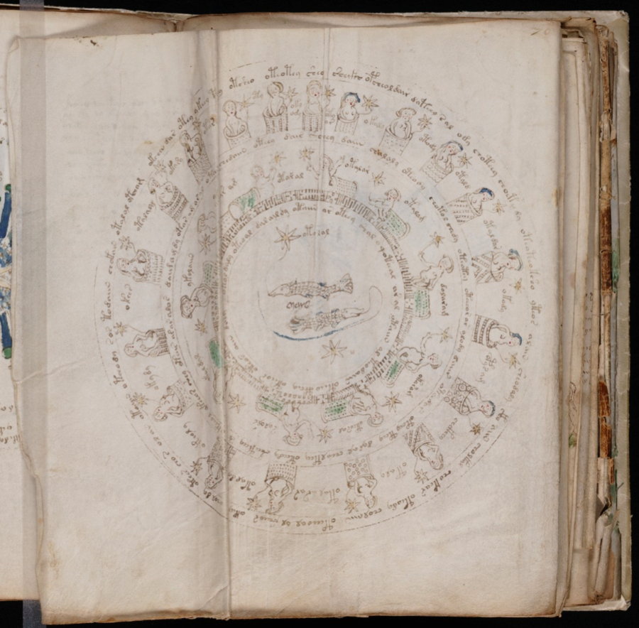 Voynich Manuscript.