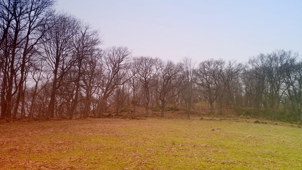 Gunnebo nature. Photo: Sanjin Đumišić.