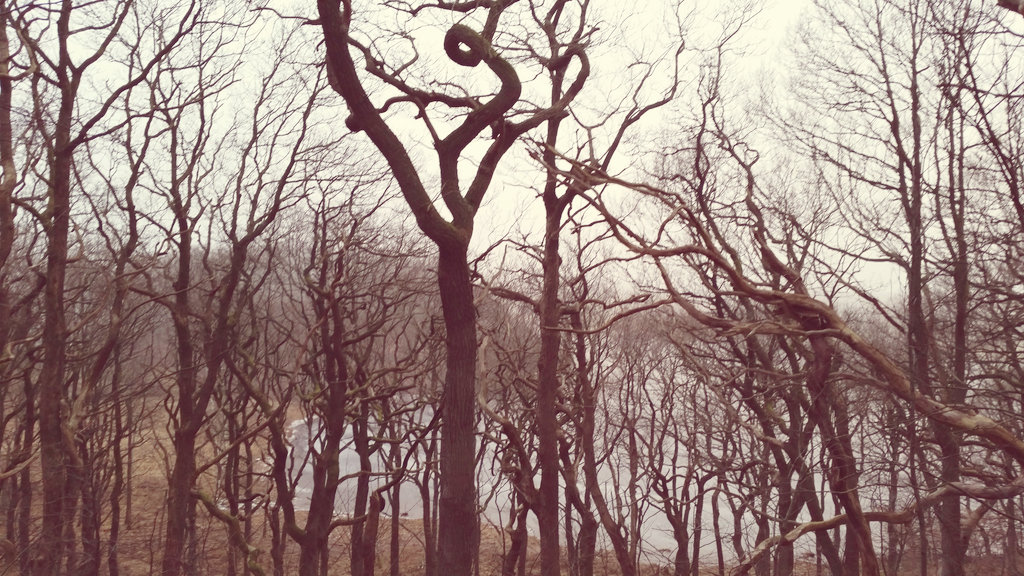 Gunnebo nature. Photo: Sanjin Đumišić.