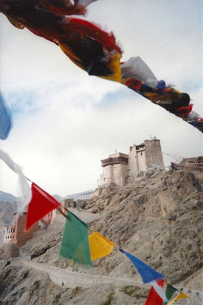 Namgyal Tsemo Gompa in Leh. Photo: Sanjin Đumišić.