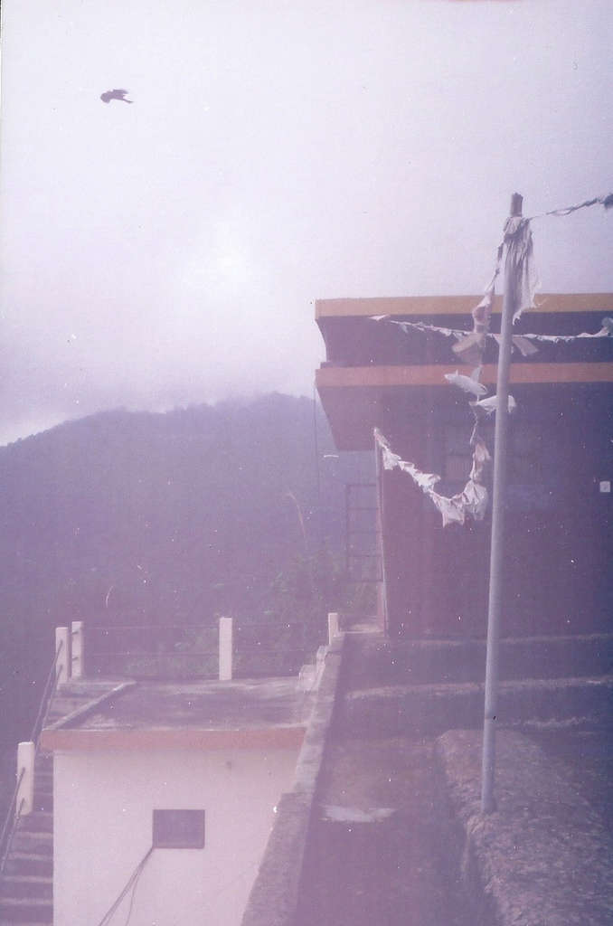 Rooftop in Dharamsala. Photo: Sanjin Đumišić.