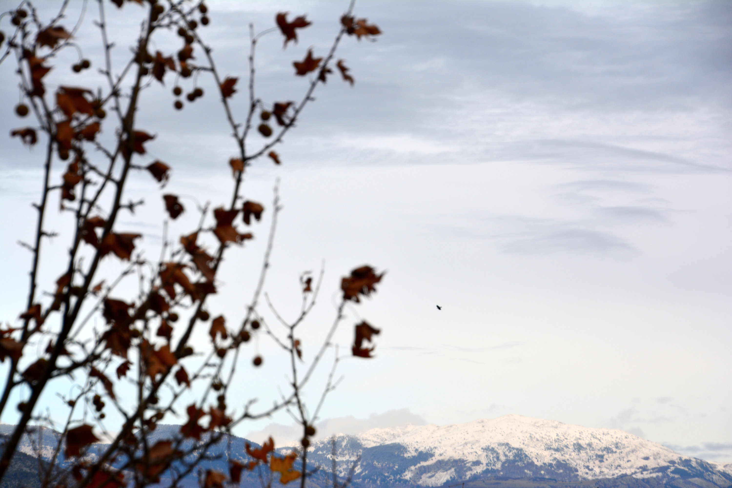 Late November in Mostar. Photo: Sanjin Đumišić.