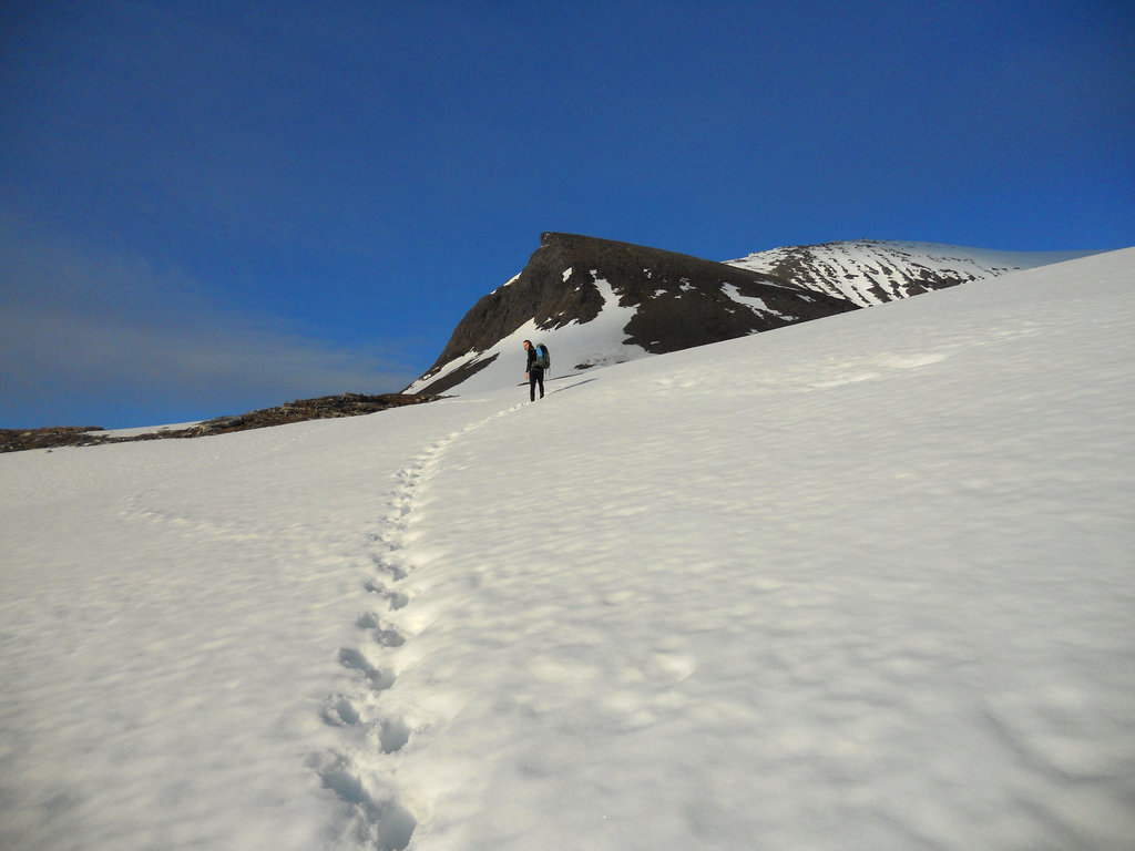 Trommsø midnight sun hiking. Photo: Lisa Sinclair.