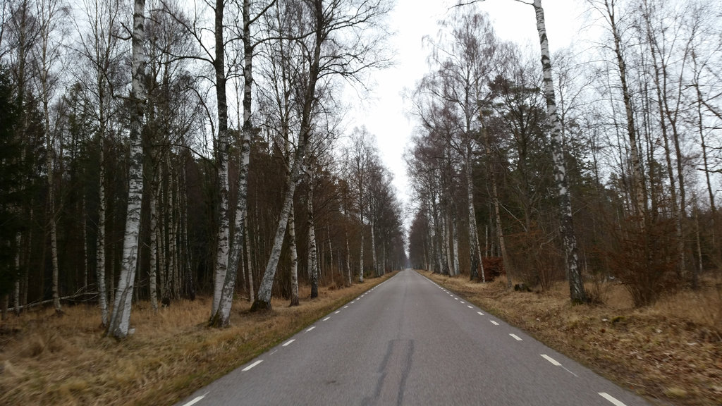 Öland alley road. Photo: Sanjin Đumišić.