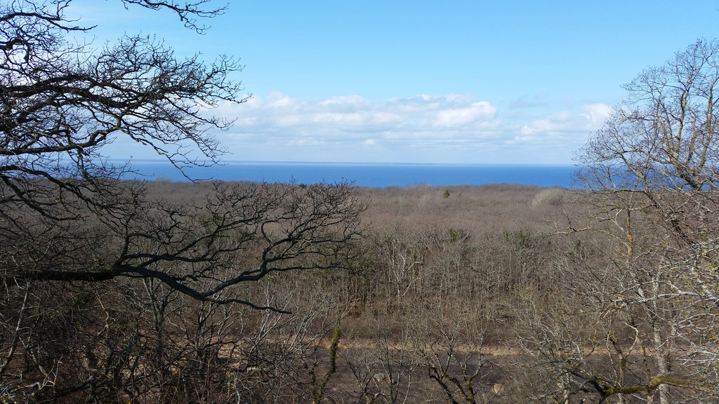 Royal park in Öland. Photo: Sanjin Đumišić.