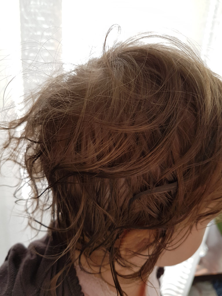 Baby Florens hair nest. Photo: Sanjin Đumišić.