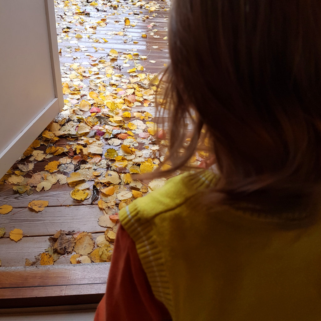 Florens and autumn colors. Photo: Sanjin Đumišić.