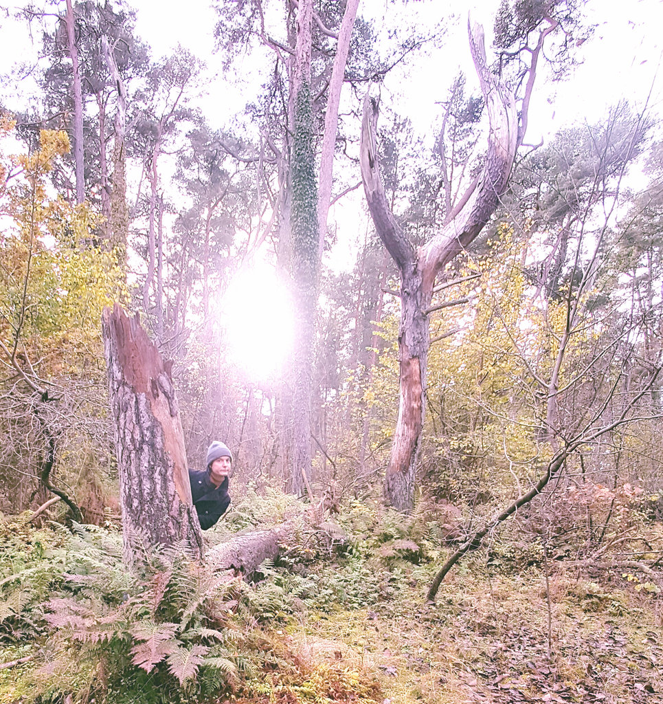 Forest nymph. Photo: Lisa Sinclair.