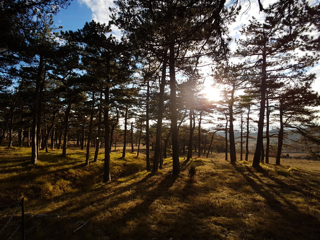 Podveležje. Photo: Sanjin Đumišić.