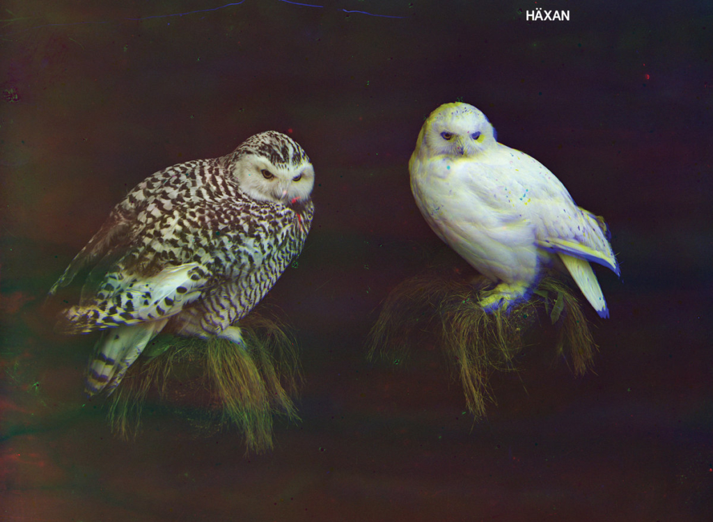 ‘Häxan’ by Dungen