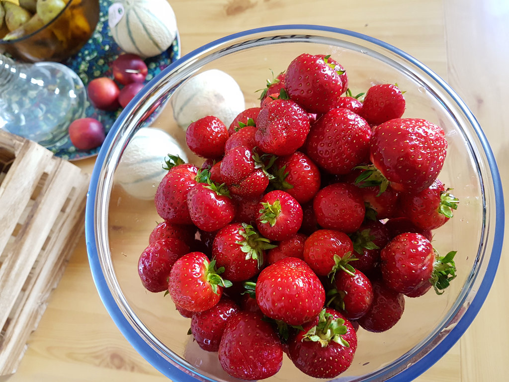 Swedish strawberries. Photo: Sanjin Đumišić.