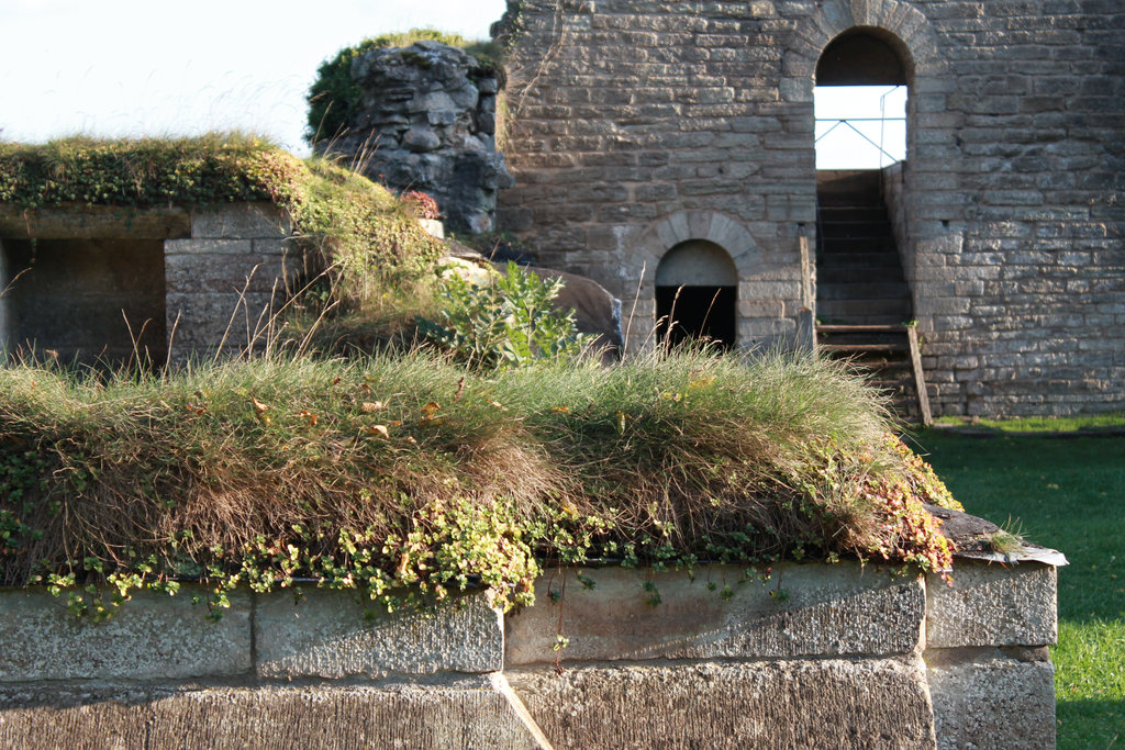 Alvastra Abbey Ruins. Photo: Sanjin Đumišić.