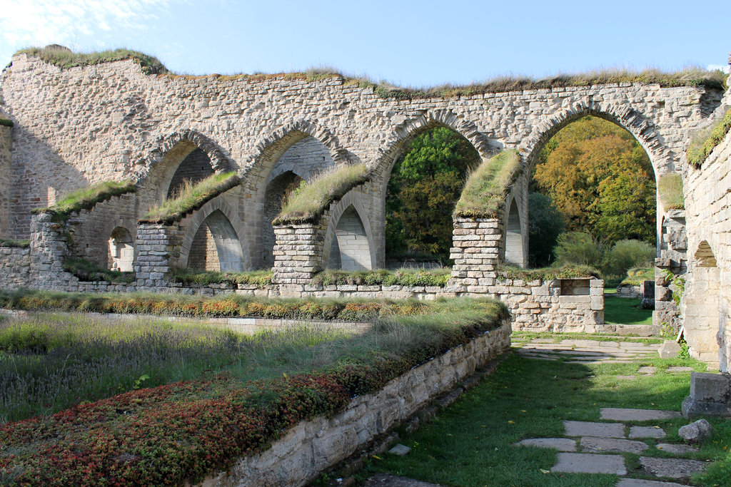 Alvastra Abbey Ruins. Photo: Sanjin Đumišić.
