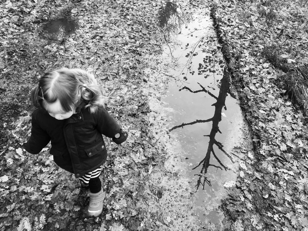 Late Swedish Autumn. Photo: Sanjin Đumišić.