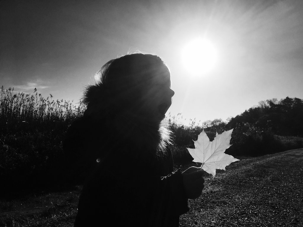 Late Swedish Autumn. Photo: Sanjin Đumišić.