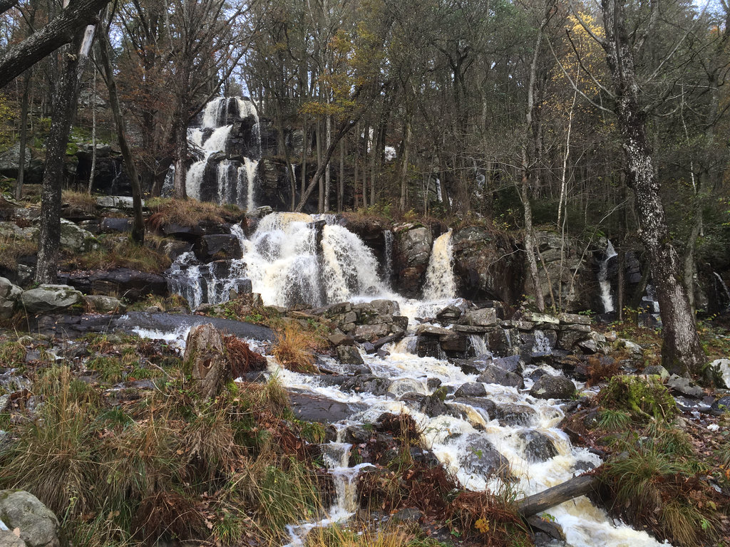 Late Swedish Autumn. Photo: Sanjin Đumišić.