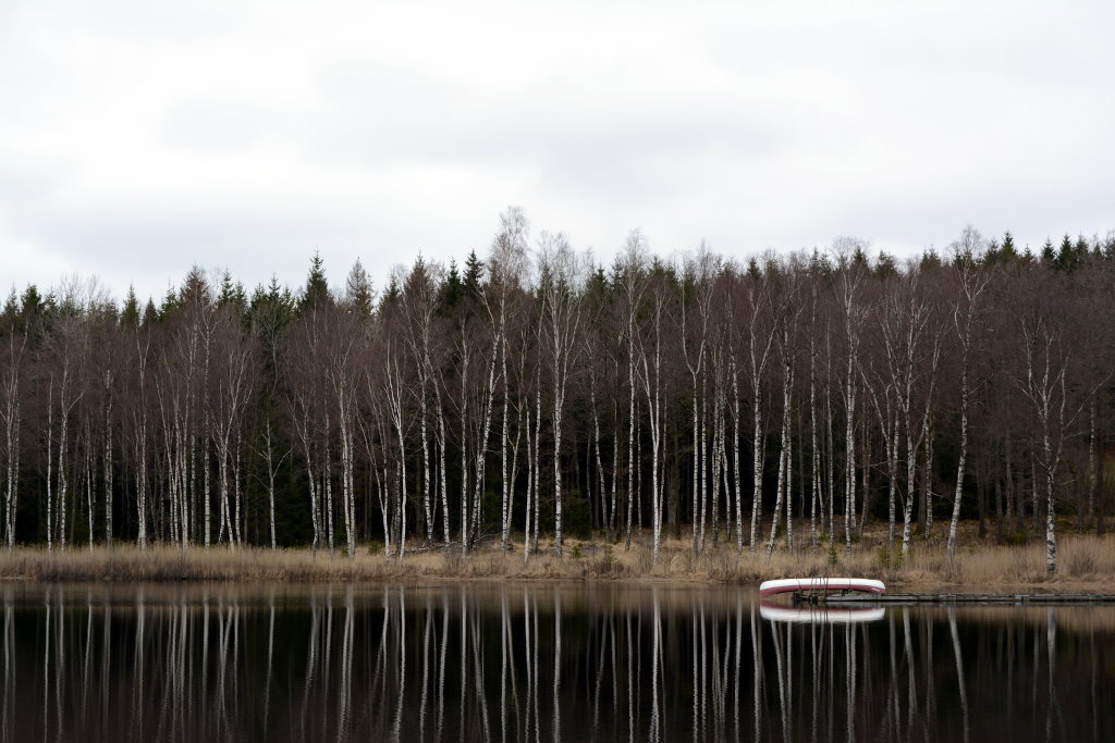 Calm lake, in the forest of Götaland, Sweden. Photo: Sanjin Đumišić.