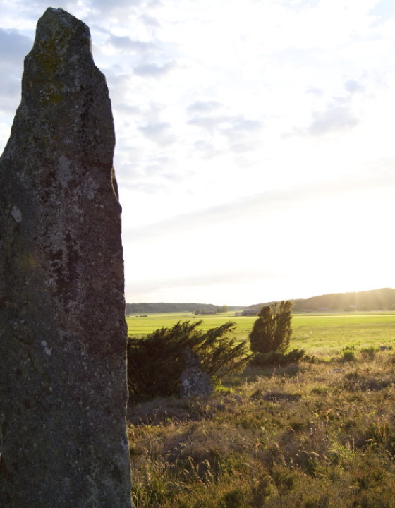Swedish megaliths in Li, Fjärås Bräcka