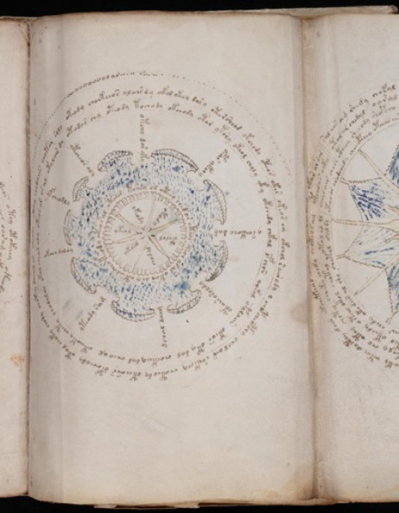 Voynich Manuscript – Complete PDF Book