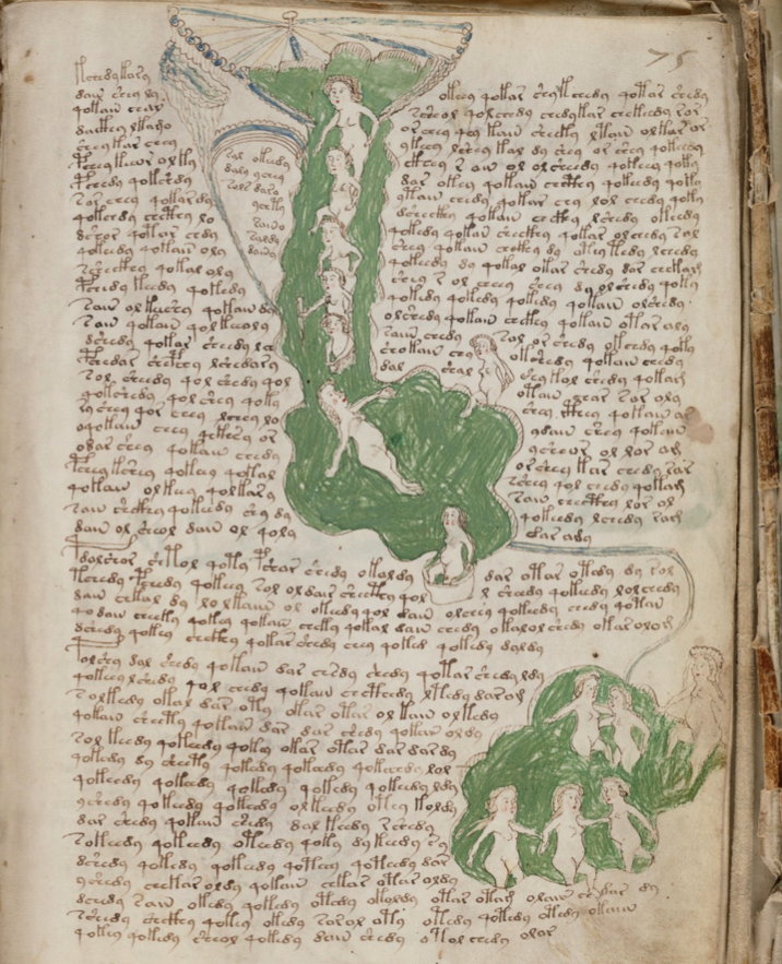 voynich manuscript cover