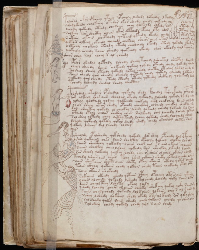 voynich manuscript for sale