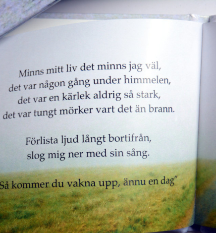 ‘Ord om bokstav’ Poetry Book