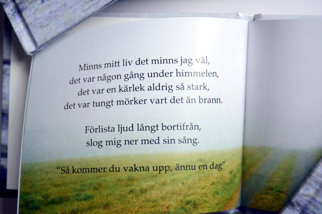 'Ord om bokstav' poetry book by Sanjin Đumišić.