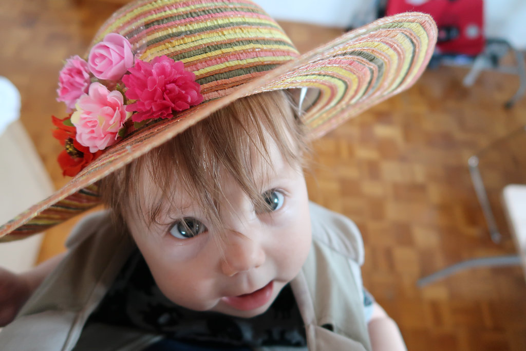 Aurelia, hairy baby. Photo: Sanjin Đumišić.