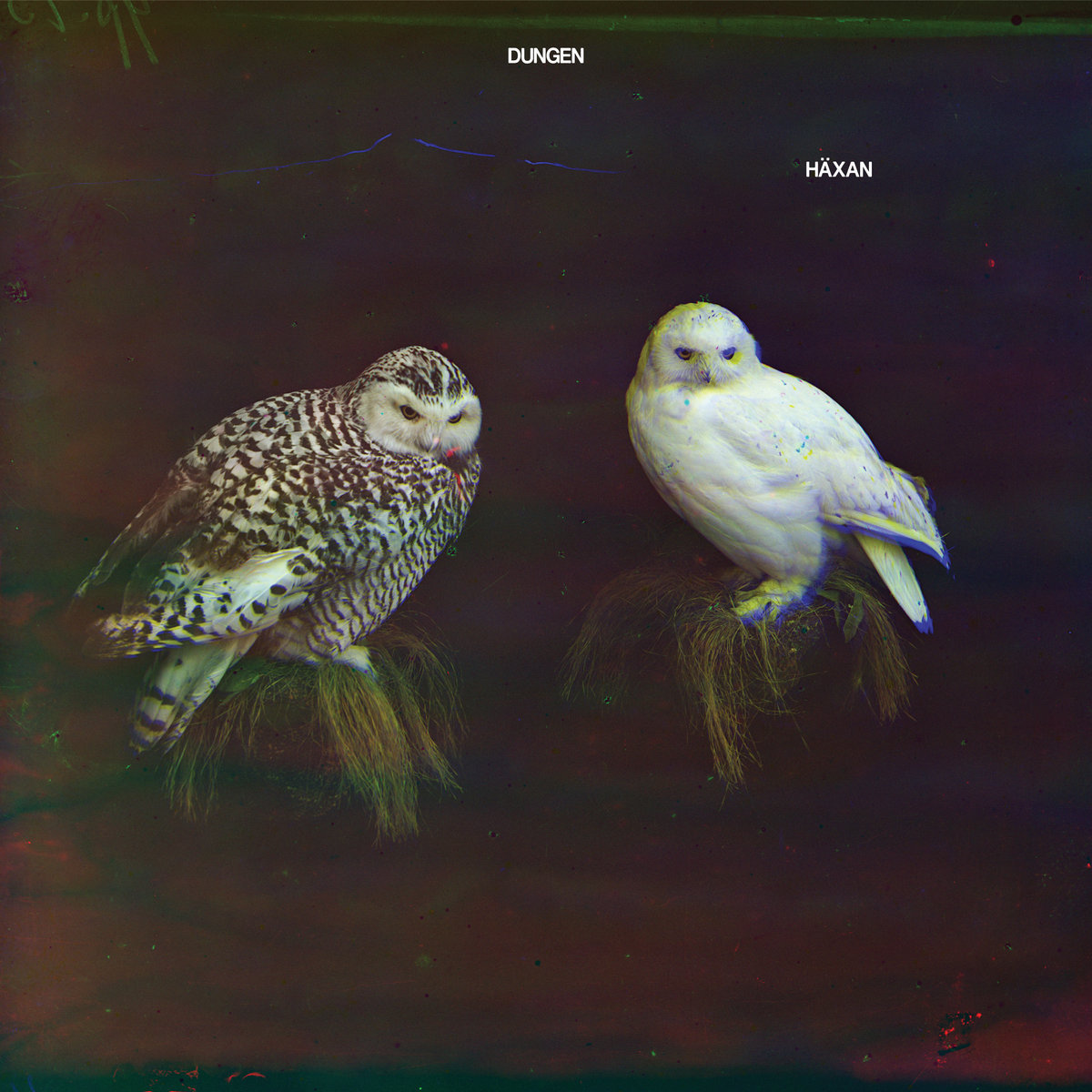 'Häxan' album cover by Dungen.