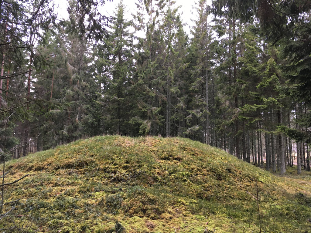 Burial Mound, Tumulus, in Hol. Photo: Sanjin Đumišić.