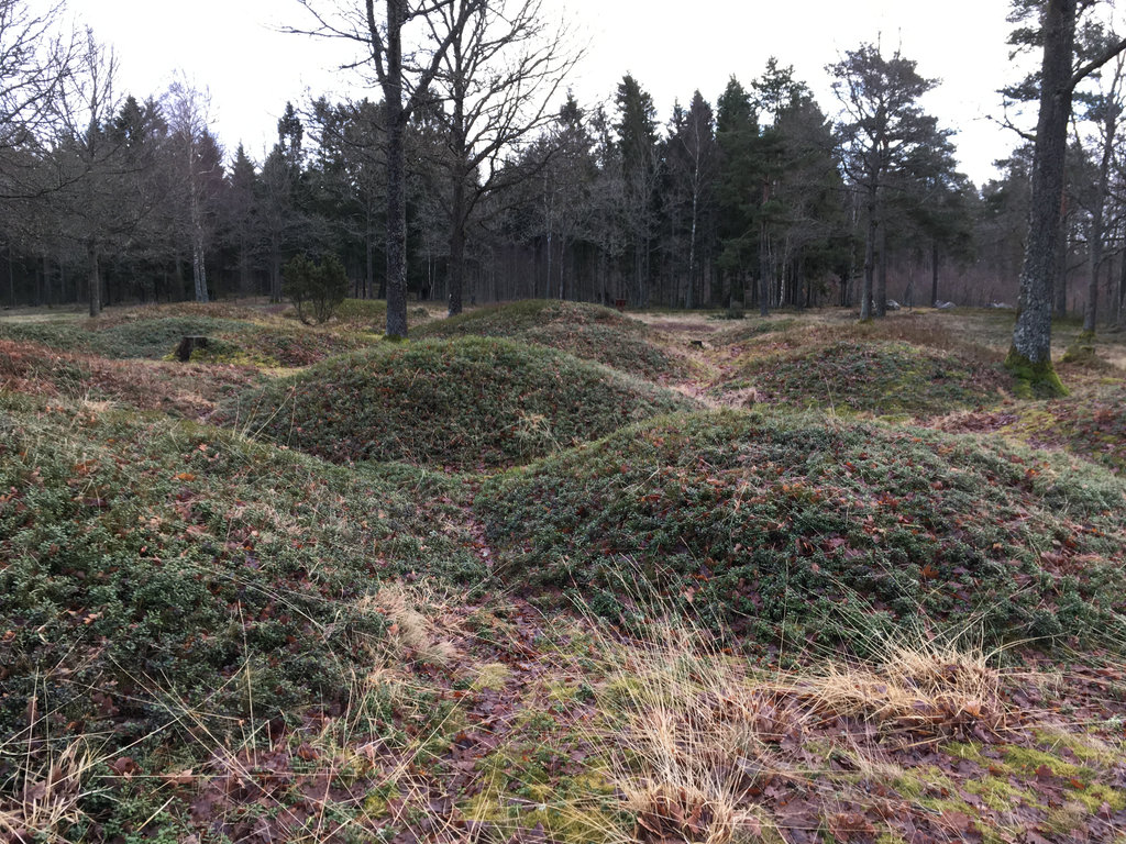 Burial Mounds, Tumuli, in Hol. Photo: Sanjin Đumišić.