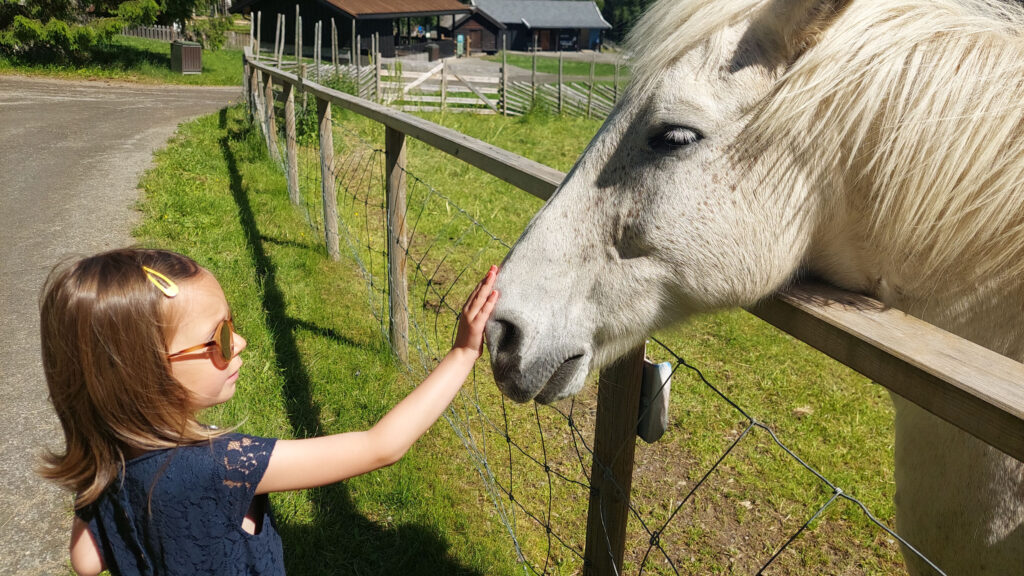 A child and a white horse.