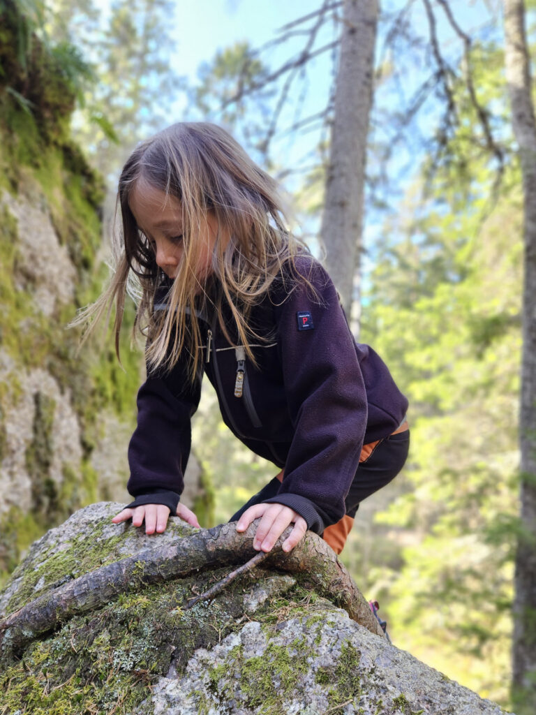 Tree root growing over a stona with a child climbing up on it.