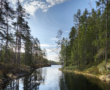 Tiveden National Park in Sweden | A Mid-April Hike