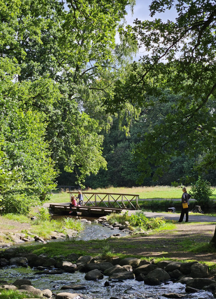 Creek in Söderåsen National Park. Photo: Sanjin Đumišić.