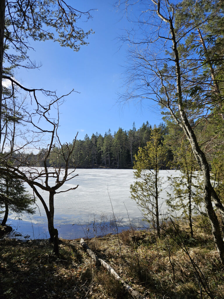 Tyresta National Park. Photo: Sanjin Đumišić.